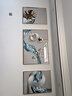 宜巢客厅装饰画晶瓷画现代简约批发沙发背景墙壁画轻奢镶钻三联挂画 逸彩 两边60*80中间110*80晶瓷面 实拍图