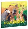 暖房子经典绘本系列第七辑：贝尔熊换新牙  实拍图