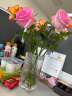 墨斗鱼 玻璃条纹花瓶玫瑰百合北欧简约客厅茶几家居餐厅装饰花器摆件 实拍图