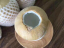田福村泰国椰青进口椰子椰汁热带水果香水椰奶香椰海风椰香甜可口新鲜椰 4粒 商超精选（900-1000g/个） 晒单实拍图