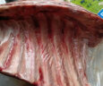 大庄园新西兰进口 羔羊排 1.25kg 原切羊肉炖煮生鲜烧烤食材冷冻羊肉 实拍图