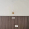 格普特220V转12V24V酒柜衣柜橱柜灯条专用开关电源触摸感应灯带变压器 24V 60W（衣柜电源） 实拍图