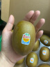 佳沛（zespri）新西兰阳光金奇异果10粒礼盒巨大果单果约146-175g水果猕猴桃 实拍图