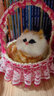 亦趣会叫仿真提篮猫咪毛绒玩具篮子猫玩偶花篮猫女孩儿童生日礼物 提篮玫红色蕾丝橘猫带叫声 实拍图