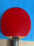 多尼克F1  F2彩色乒乓球胶皮DONIC 乒乓球拍反胶套胶涩性加硬套胶1001 F1 1001  红色 2.0 实拍图