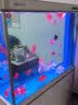 森森（SUNSUN）鱼缸水族箱客厅免换水风水家用金鱼缸 1.2米长屏风款 42cm宽时尚底滤(黑白灰可选) 实拍图