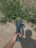 科迈克锂电池充电式电动割草机大功率家用小型除草机园林农用手持神器 大功率无刷工业15节电芯续航款 实拍图