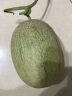 西州蜜瓜哈密瓜 甜瓜 1粒装 单果1.25kg以上 新鲜水果 新鲜水果 实拍图