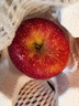 现摘当季云南昭通野生丑苹果冰糖心苹果水果新鲜脆甜大果5/10斤 中果70mm-75mm脆甜 10斤 实拍图