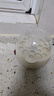 智能蒸蛋器多功能煮蛋器大容量蒸蛋羹神器早餐机全自动电蒸锅 单层 乳白色【蒸煮神器】 实拍图