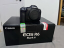 佳能（Canon） EOS R6 Mark II/r6三代全画幅微单相机r6 2二代专业微单 Vlog数码相机 R6二代拆单机身【不含镜头】 套餐二【佳能单肩包~捕捉者双电池~滤镜套装】 实拍图