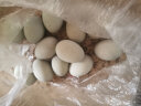 我老家 正宗皮蛋松花蛋鸭蛋 无铅工艺变蛋 12枚 550g -600g 松花蛋 晒单实拍图
