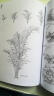 夏克梁手绘景观元素：植物篇（上） 实拍图