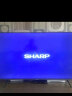 SHARP夏普24年新款 50英寸4K超高清 3+32G大内存 全面屏 运动补偿 AI智慧语音 智能网络液晶平板电视机 50英寸 晒单实拍图