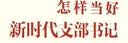怎样当好新时代支部书记 修订版 做基层党组织领头人，抓好基层社会治理 （新老版本随机发货）【团购优惠】 实拍图