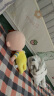 宝宝巴士超级宝贝JoJo玩偶毛绒玩具公仔0-3岁幼儿娃娃儿童六一节礼物 晒单实拍图