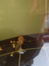 琅河水族 金鱼精选 观赏鱼小金鱼活体 冷水鱼活鱼 鹤顶红11-15cm（2条） 实拍图