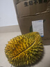 榴小橔泰国进口金枕头榴莲鲜果 巴掌榴莲水果热带金枕榴莲 9-10斤大金枕榴莲（1-2个） 实拍图