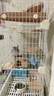 jolly pet products龙猫木窝小屋房子跳板兔子踏板磨牙串咬木串固定悬挂木窝木制品 电镀装草球小号兔子龙猫 实拍图