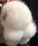 DRACO汽车钥匙扣包包挂件水貂毛绒可爱网红兔子挂饰女书包公仔皮草 本色灰耳朵 皮革爪 实拍图