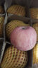南步【顺丰直达】山西临汾吉县壶口苹果瀑布红富士苹果蜂蜜冰糖心水果 9斤 80mm(含)-85mm(不含) 实拍图