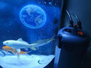 松宝（sobo）过滤桶鱼缸过滤器外置滤桶缸外过滤系统水族箱吸鱼屎净水器 SF-1500F +【基础滤材套餐】30%鱼友选择 过滤桶带杀菌灯 实拍图