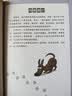 少年大侦探·福尔摩斯探案笔记（第一辑3册）：十大案件、环球追捕、惊天迷案（专注力逻辑思维训练书） 实拍图