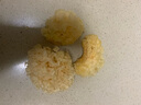 承真堂 正宗小银耳干货白木耳无硫丑耳出胶糯雪耳长白山野外生椴木 【1罐】【小银耳】250g 实拍图
