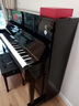 星海钢琴K-121CF凯旋系列立式钢琴 碳纤维击弦机 专业考级演奏88键 实拍图