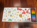 创意指印画：我的家 儿童手工DIY套装 3-8岁幼儿园美术课必备 安全颜料可水洗+100+图案教程 亲子互动手工绘画玩具 宝宝涂鸦趣味艺术启蒙教材 实拍图