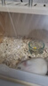 宠尚天 仓鼠天然磨牙苹果枝仓鼠零食宠物零食兔子龙猫豚鼠120g 实拍图