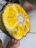 素月海南菠萝蜜新鲜水果黄肉老树木一整个16-21斤特大果热带特产生鲜 实拍图