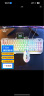 狼蛛（AULA）T101真机械手感键盘鼠标套装 有线键鼠套装 游戏办公电脑键盘 混光 吃鸡套装 金属面板 银白 实拍图
