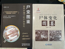 包邮】 尸体变化图鉴 陈禄仕 可搭配尸体解剖规范 解剖学书籍 法医学专业书籍教材 凤凰新华书店旗舰店 实拍图