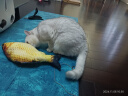 憨憨乐园猫玩具猫薄荷逗猫玩具猫抱枕草鱼幼猫宠物仿真毛绒猫咪鱼玩具非电动 黄鱼 大号38*14cm 实拍图