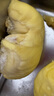 晨臻泰国进口金枕头榴莲鲜果新鲜水果 软糯香甜 金枕榴莲2.5-3斤 实拍图
