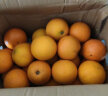 京鲜生 当季鲜橙  5kg装 单果170-220g  新鲜水果  实拍图