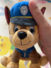 汪汪队立大功（PAW PATROL）汪汪队玩具毛绒全套狗狗玩偶公仔男女孩玩具旺旺队 经典款-阿奇公仔【需选尺寸】 小号-坐高15.2CM 实拍图