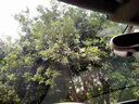 車仆（CHIEF）车仆汽车夏季玻璃水非浓缩雨刷精防冻车用雨刮水精清洁洗剂 4瓶0℃ 1.8L 强力去污款 实拍图