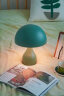 诺克Magcharm Fika台灯奶油欧美充电床头装饰氛围桌灯露营浪漫夜灯 暮光绿 晒单实拍图