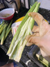 探味君 新鲜甜玉米笋 迷你小玉米棒芯甜玉米芯带壳新鲜蔬菜水果批发包邮 净重2.8-3斤 实拍图