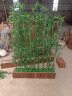 仿真竹子假竹子装饰隔断栅栏加密绿竹子塑料屏风植物墙室内室外毛竹 木底座1米长16孔 晒单实拍图