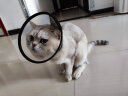 普安特伊丽莎白圈宠物猫咪头套防舔咬狗狗项圈伊利沙白脖圈 6号宠物围脖18-22cm 实拍图