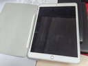 Apple苹果 iPad Air1/Air2/Air3 迷你mini2/4/5 二手平板电脑ipad iPad Air3 256G WiFi版 95成新 实拍图