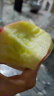 鲜其云南昭通野生丑苹果2023年现摘冰糖心苹果脆甜多汁孕妇新鲜水果 80mm(含)-85mm(不含) 5斤 实拍图