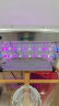 汤玛斯（TONMAS）灭蚊灯灭蝇灯商用餐厅灭蚊器电子电蚊灯灭蚊子神器苍蝇诱捕器LED TMS-20WP-LED增强版 实拍图
