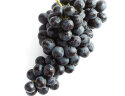京鲜生 智利玫瑰香Sable无籽黑提  900g装  新鲜葡萄/提子  生鲜水果 实拍图