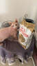 皇家猫粮 斯芬克斯成猫粮 SX33 通用粮 12月以上 2KG 实拍图
