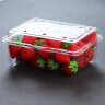 烘焙精灵一次性水果盒透明加厚果蔬包装盒蓝草莓提子榴莲盒塑料打包盒有盖 约装750克A50个 晒单实拍图