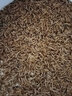 KERRY面包虫活体饲料黄粉虫鸟鱼龟蜥蜴金龙鱼鬃狮蝎子守宫食物幼体幼虫 1斤2cm左右幼虫+1斤麦麸（鲜活） 实拍图